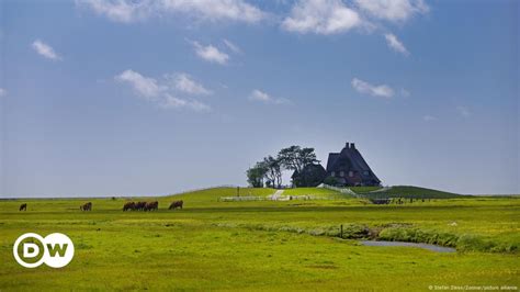 halligen einloggen.